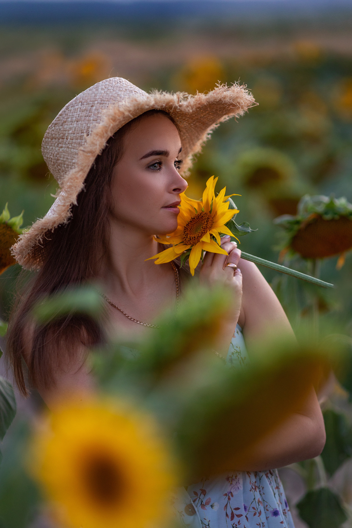 Подсолнухи. Семейный и детский фотограф |Брянск| Анастасия Перепелкина