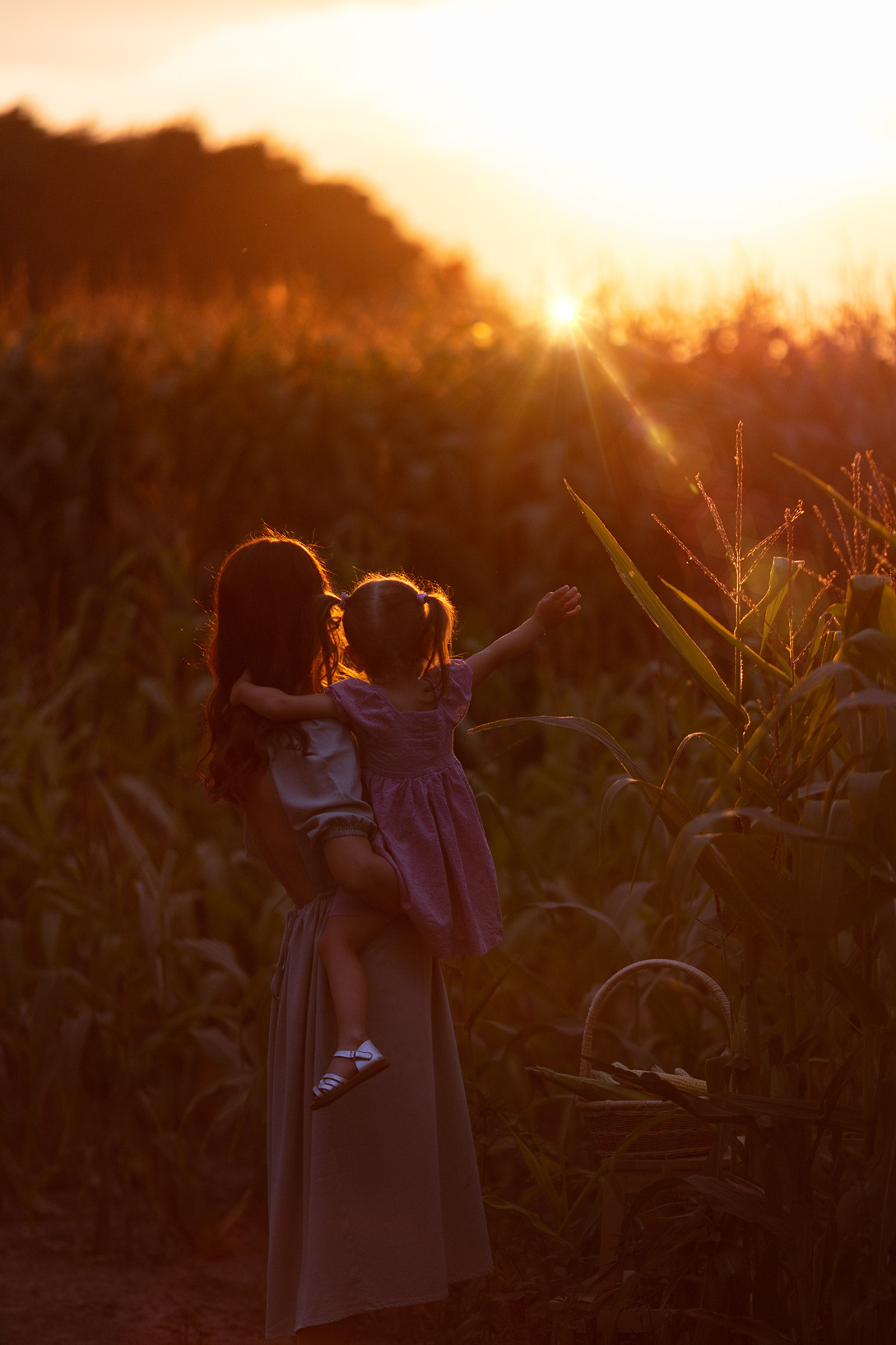 Лето в кукурузе. Family and children’s photographer |Russia| Anastasia Perepelkina