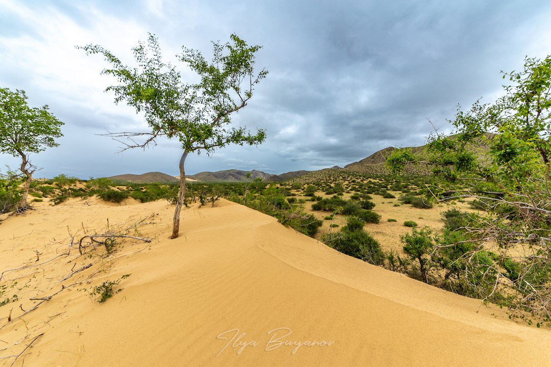 Монголия. Илья Буянов, гид по Байкалу, фотограф — baikalsky.com