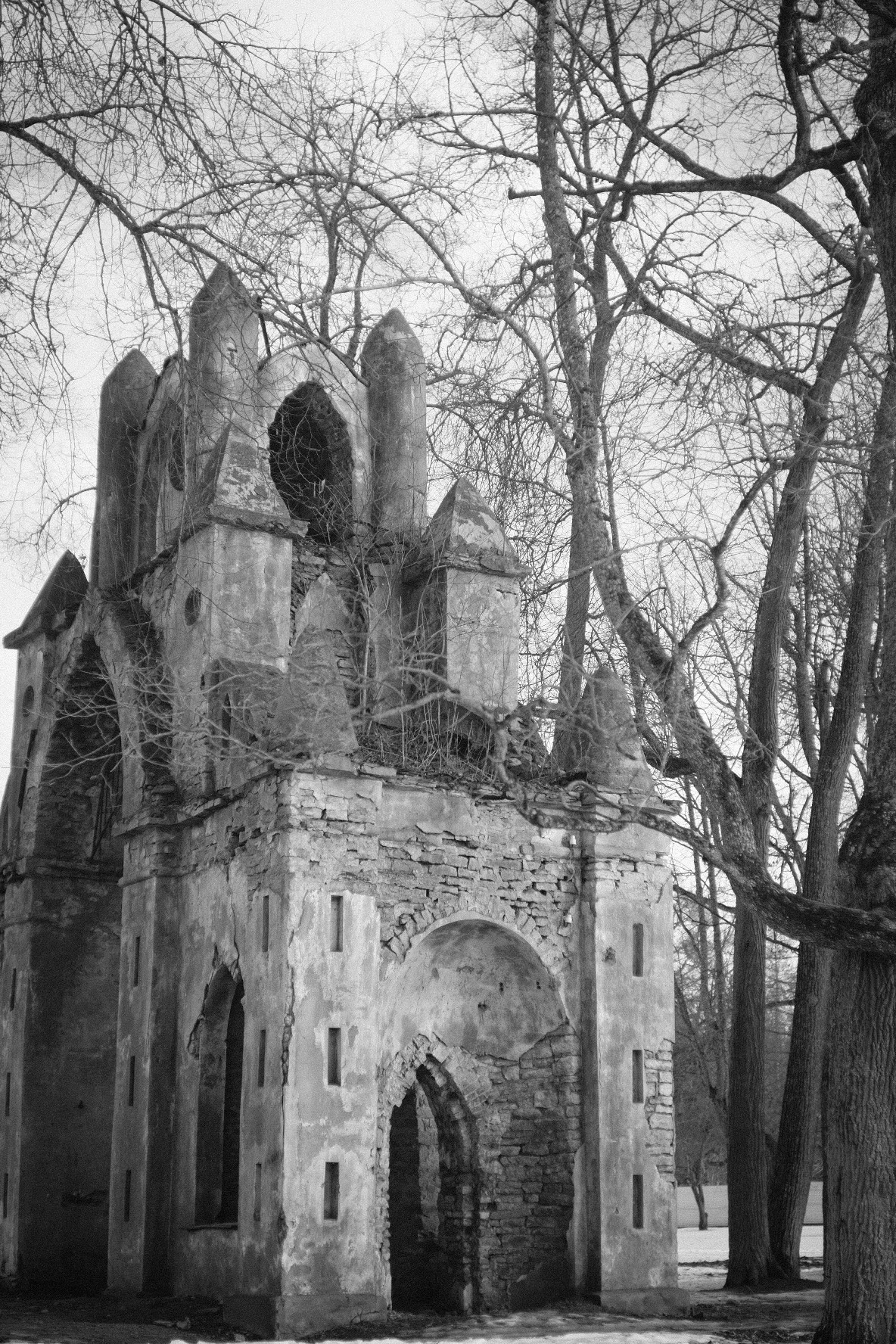 Саша. Портретный фотограф в Санкт-Петербурге