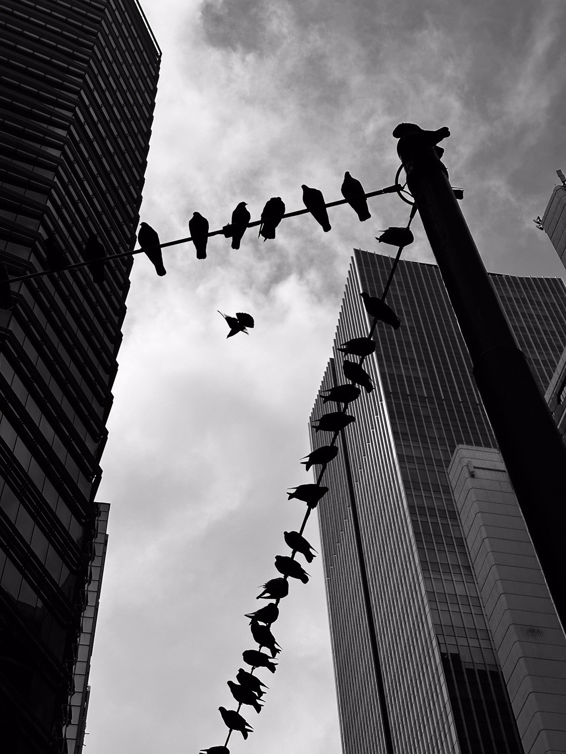 Профессиональный свадебный фотограф в Сочи для вашего идеального дня. Свадебный фотограф в Абхазии, Сухум, Гагра, Сочи