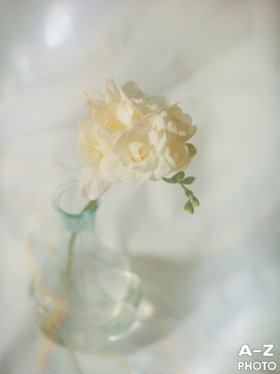 #ФОТОНЕДЕЛИ 02.02.2026. Женский семейный фотограф Тула Москва Захарова Анна