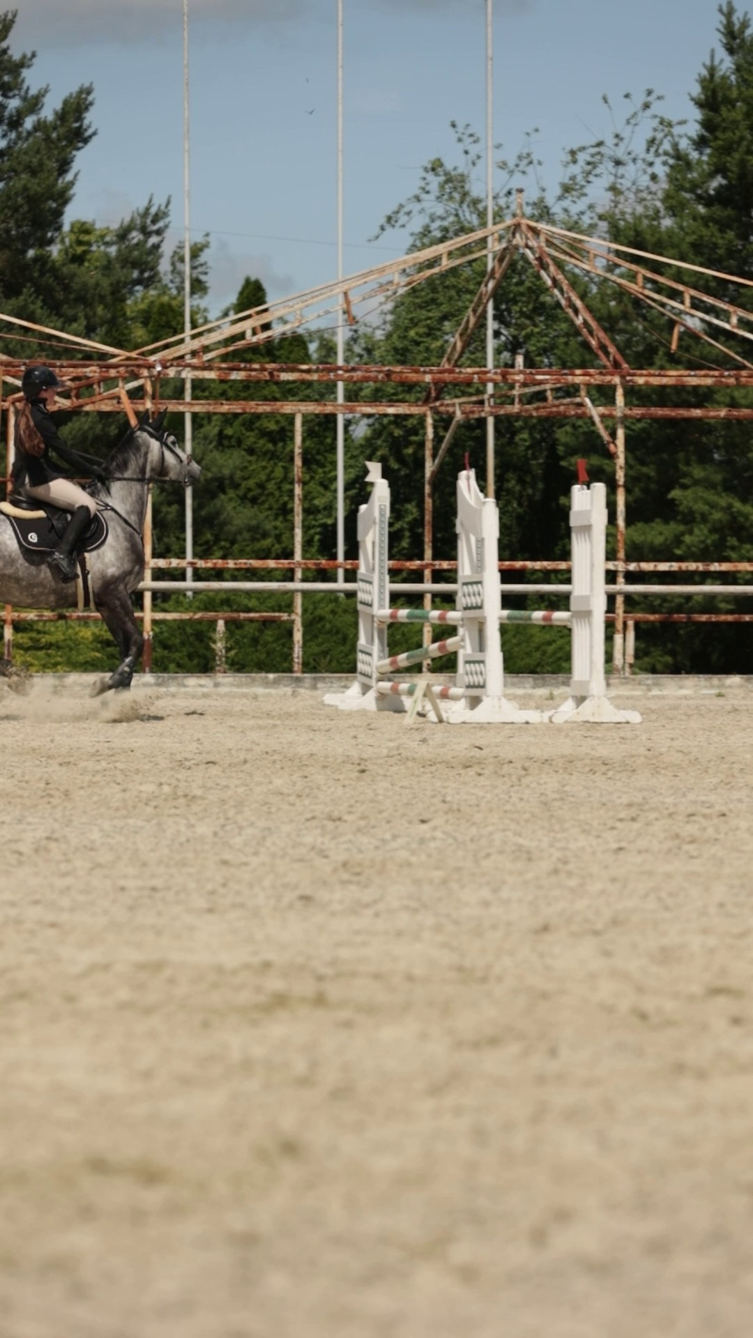 Отзывы. Конный фотограф в Калининграде Елена Курбатова