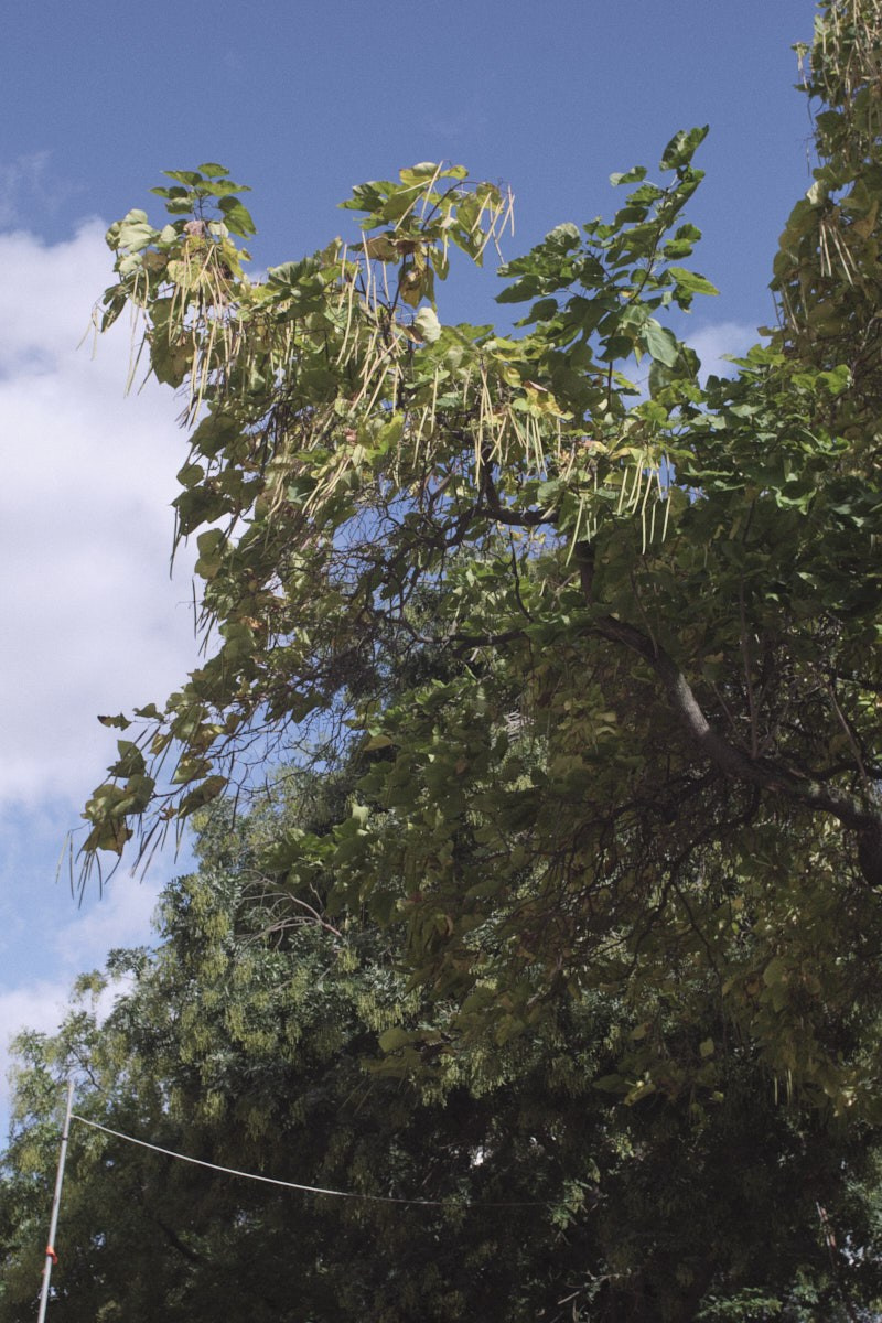 Showside. Eduard Savosin | Documentary & Portrait Photographer in Paris