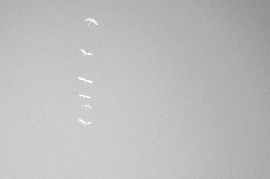 Summer Shore. Vitaly Severov