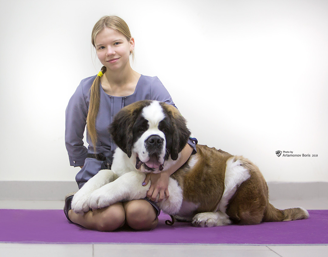 Борис Артамонов фотограф — анималист. Москва