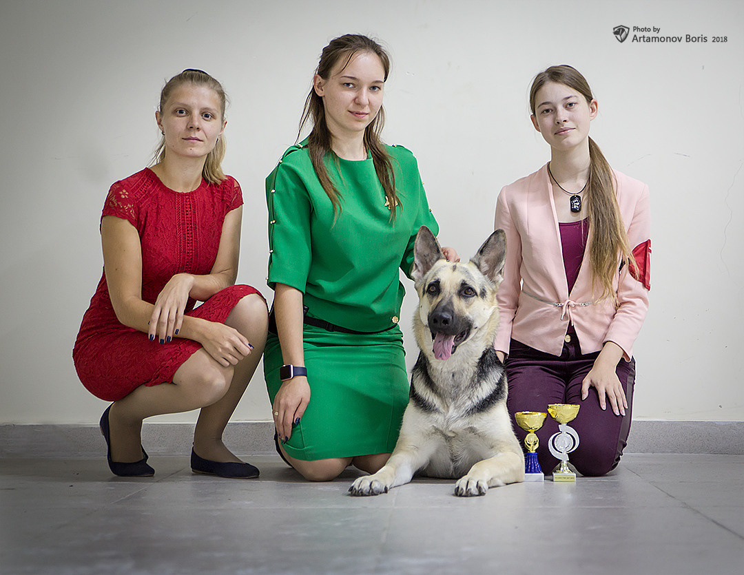 Борис Артамонов фотограф — анималист. Москва