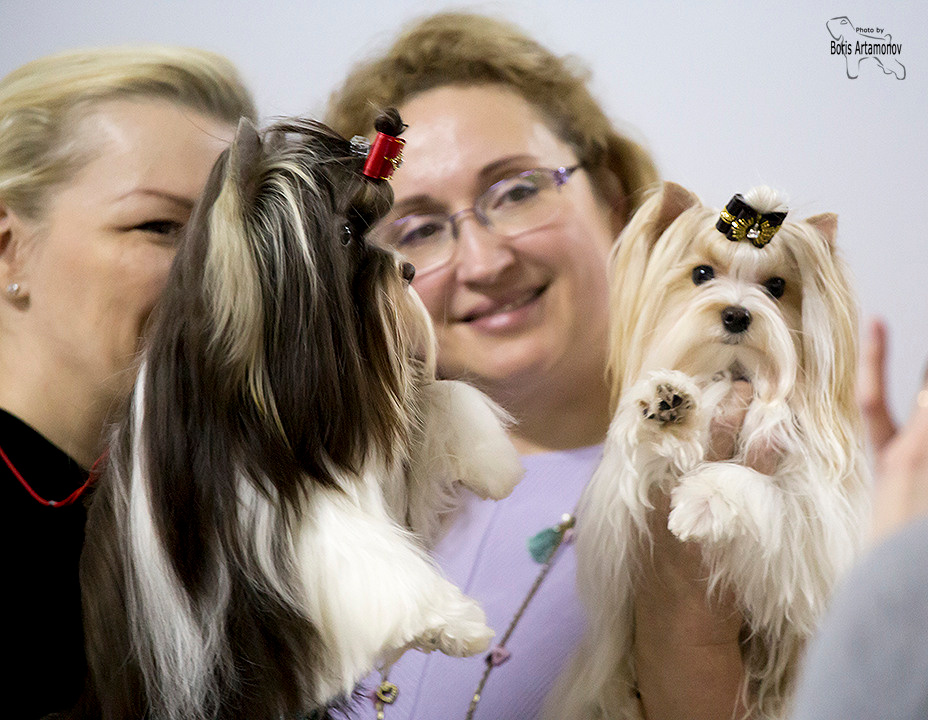 Борис Артамонов фотограф — анималист. Москва