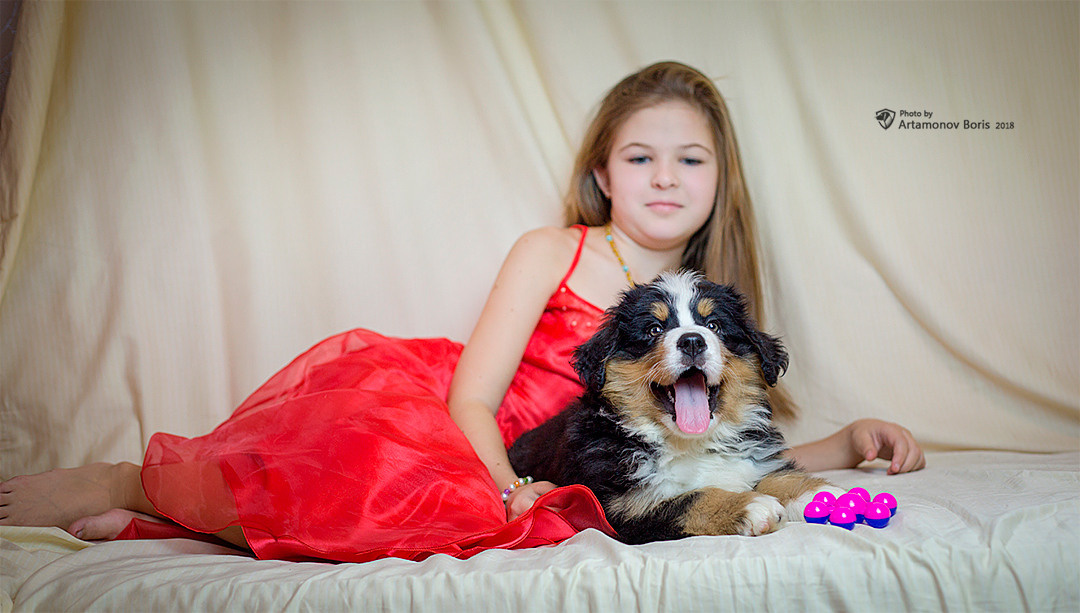 МОИ ЛЮБИМКИ ДОЧА И ВНУЧКИ…. Борис Артамонов фотограф — анималист. Москва