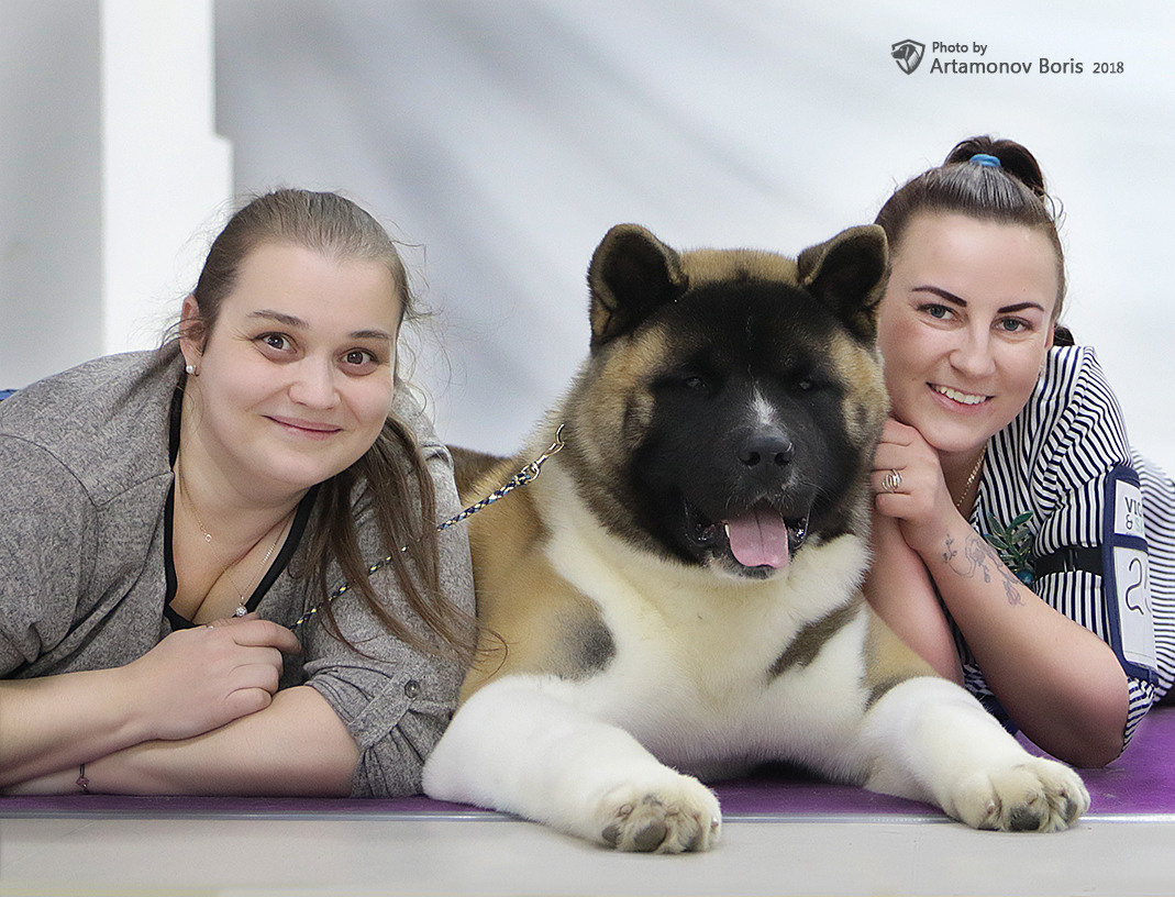 Борис Артамонов фотограф — анималист. Москва