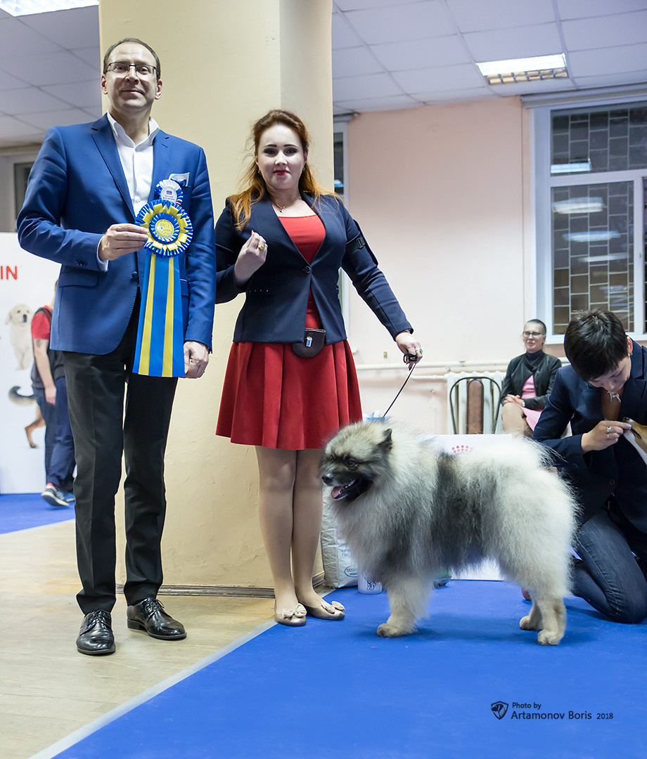 Борис Артамонов фотограф — анималист. Москва