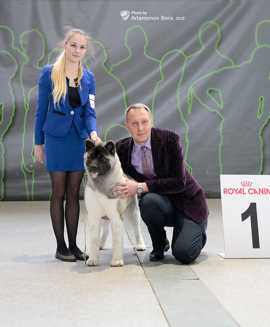 Борис Артамонов фотограф — анималист. Москва