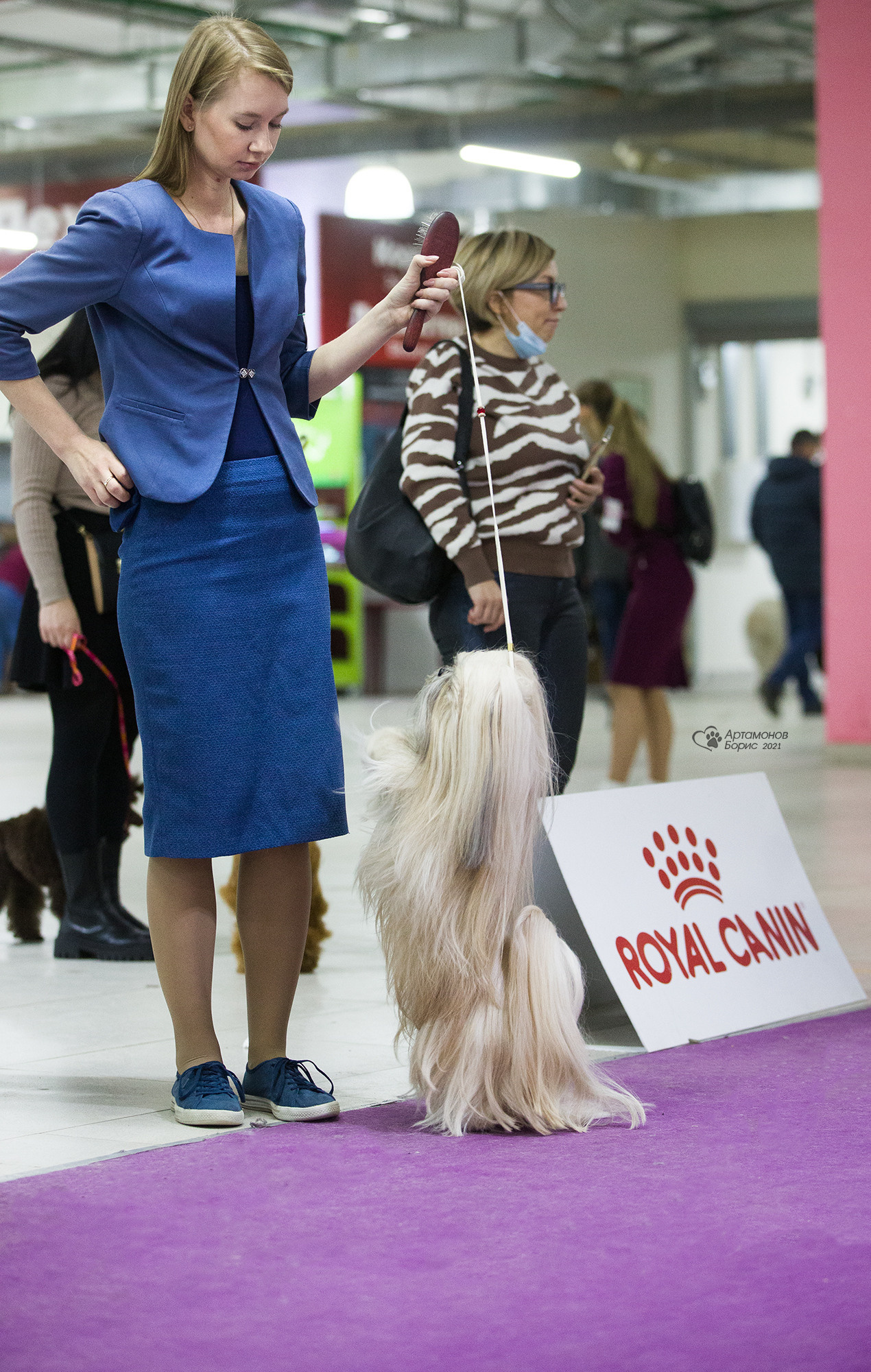 Борис Артамонов фотограф — анималист. Москва