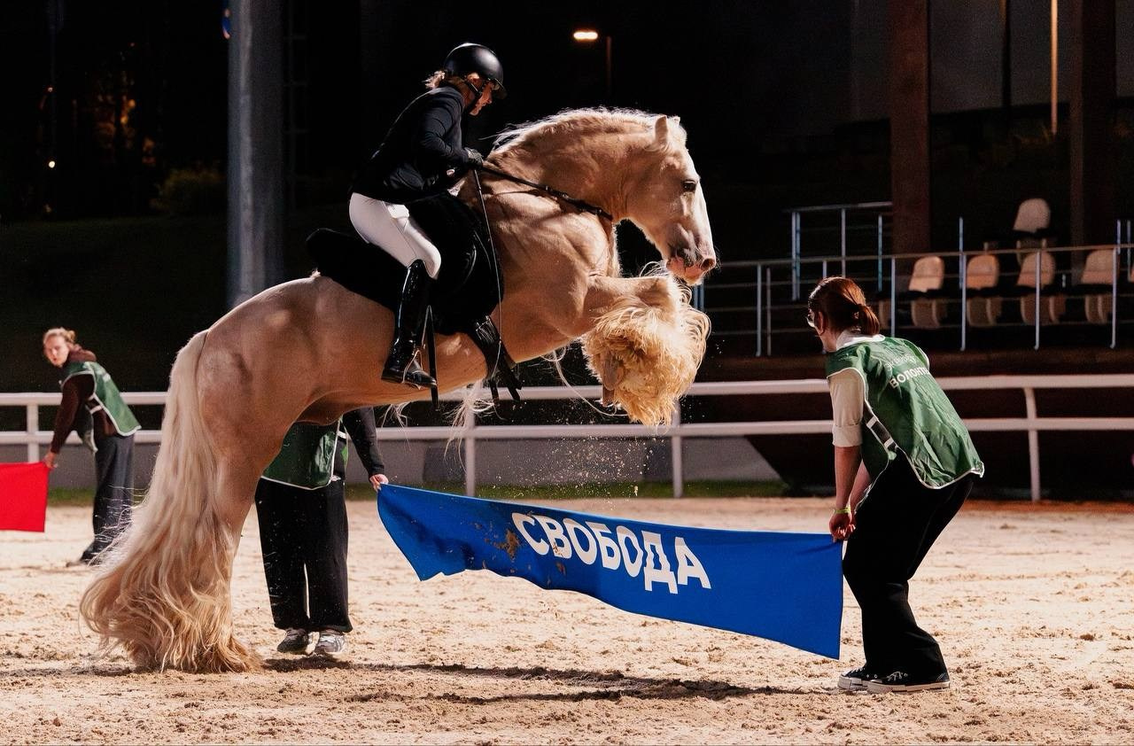 ЭКВИРОС — СЕНТЯБРЬ 2025. Куракина Дарья • Конный фотограф