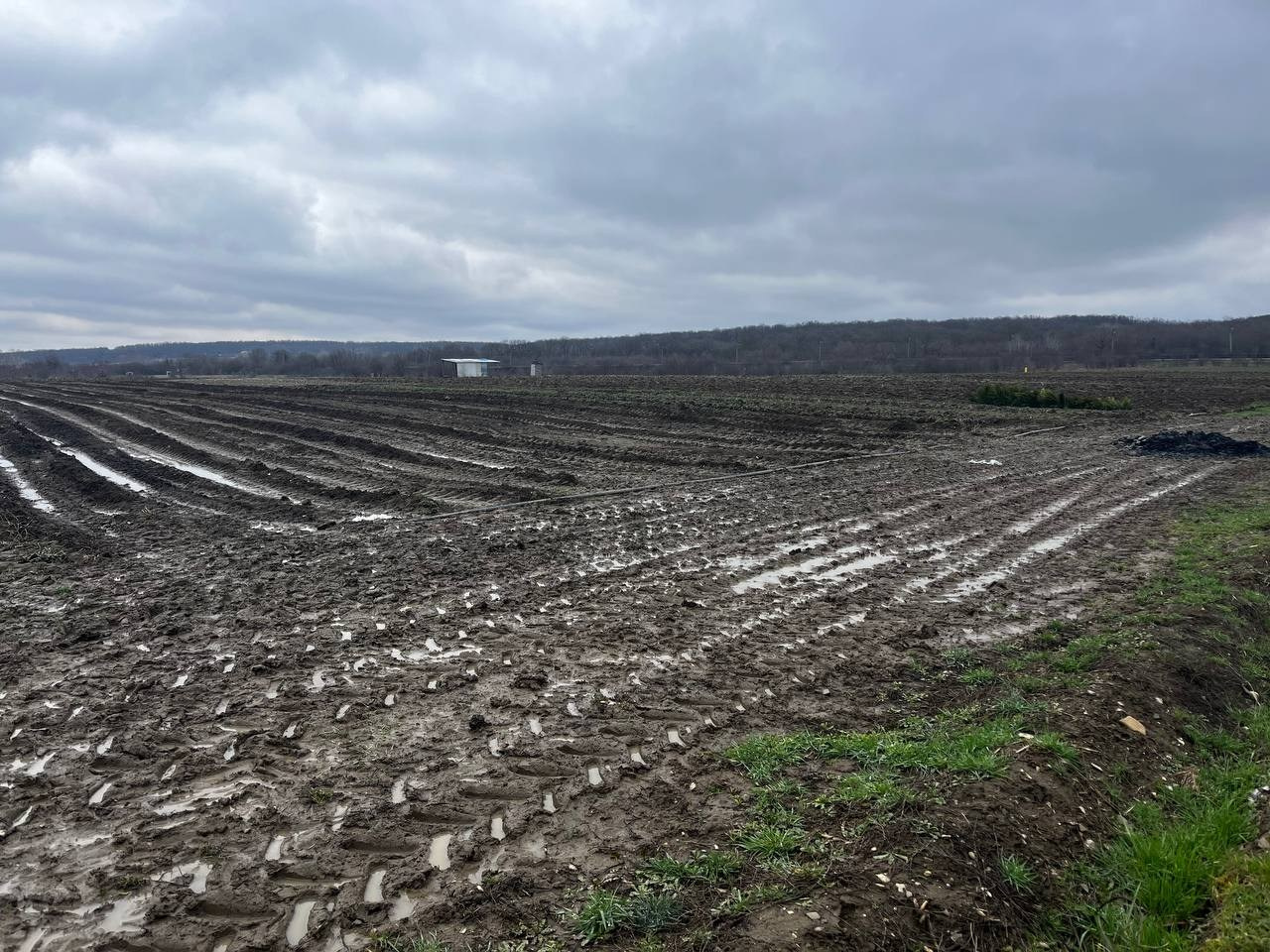 Агро Земельный массив Неберджаевская. Инвестиционный консалтинг Недвижимость