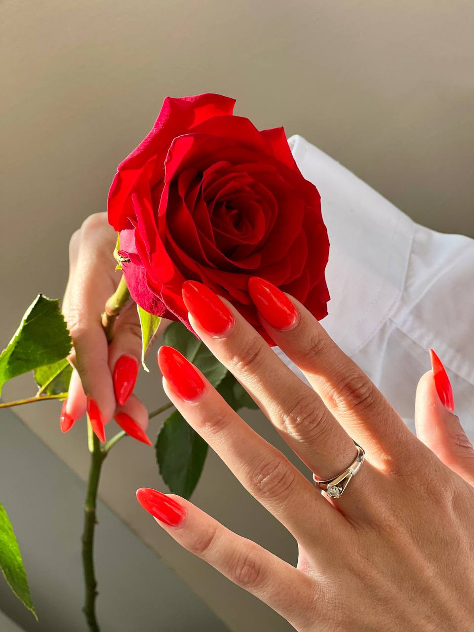 Визуализация ЛБ наставника психологов. Софья Даниленко SMM агентство для экспертов, личных брендов и бизнесов