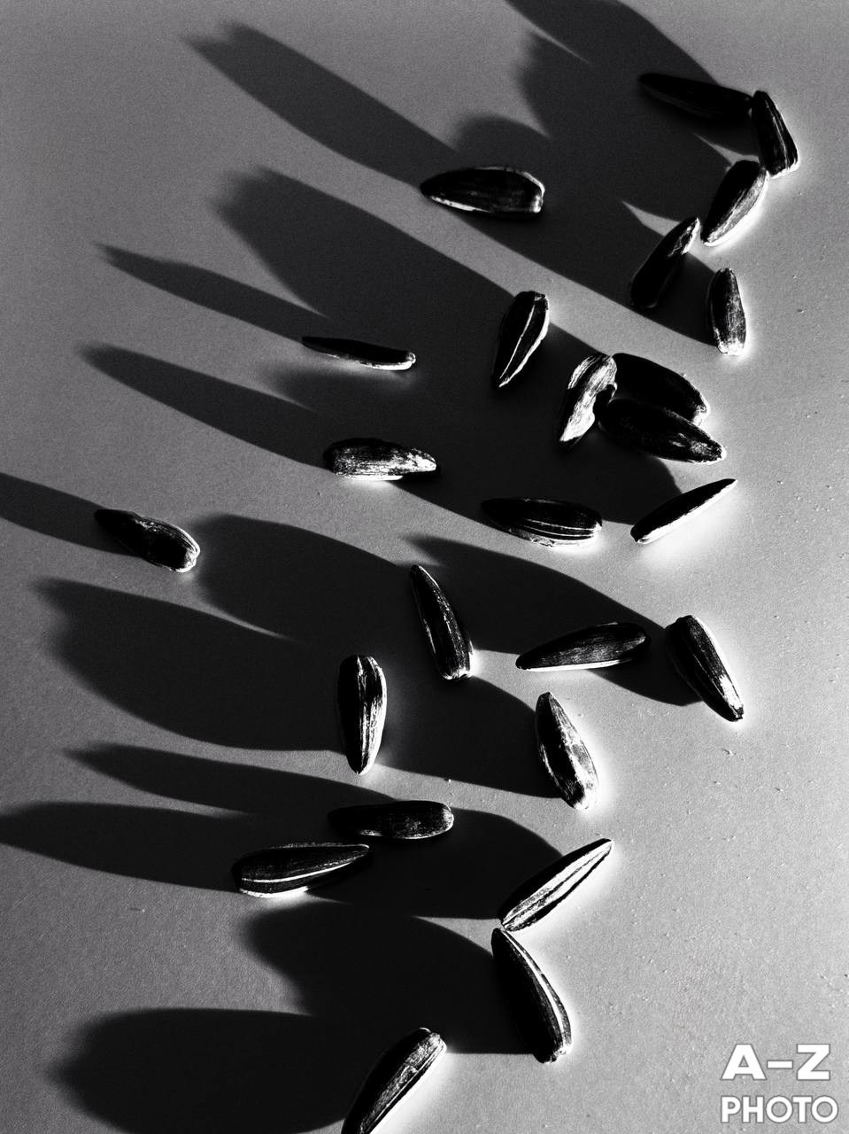 #ФОТОНЕДЕЛИ 09.02.2026. Женский семейный фотограф Тула Москва Захарова Анна