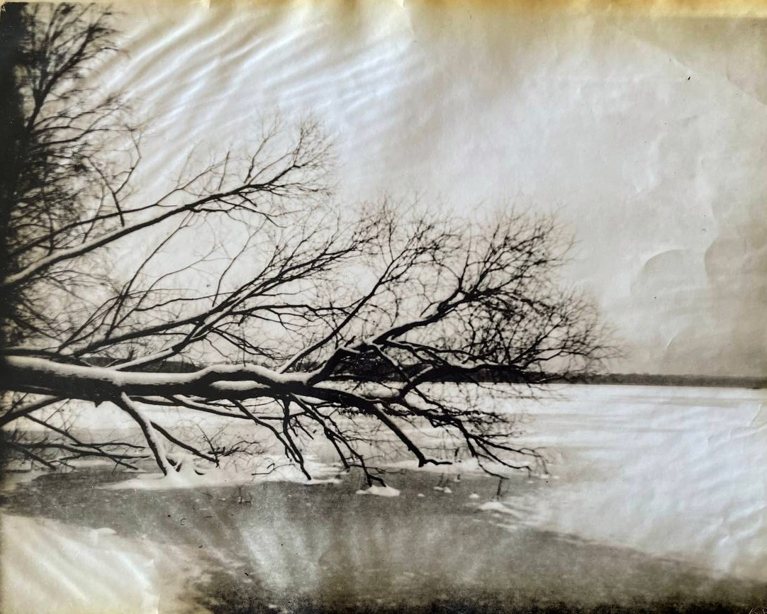 Lith prints. Darkroom aesthetics