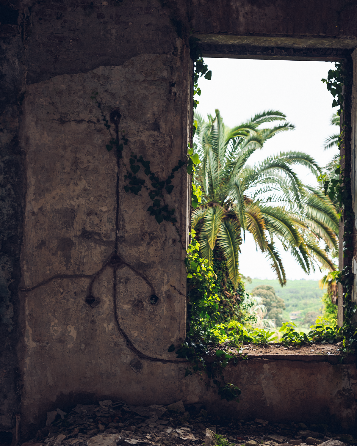 Абхазия в объективе: путешествие рекламного фотографа из Гуанчжоу. Коммерческий и предметный фотограф в Гуанчжоу Коваленко Александр