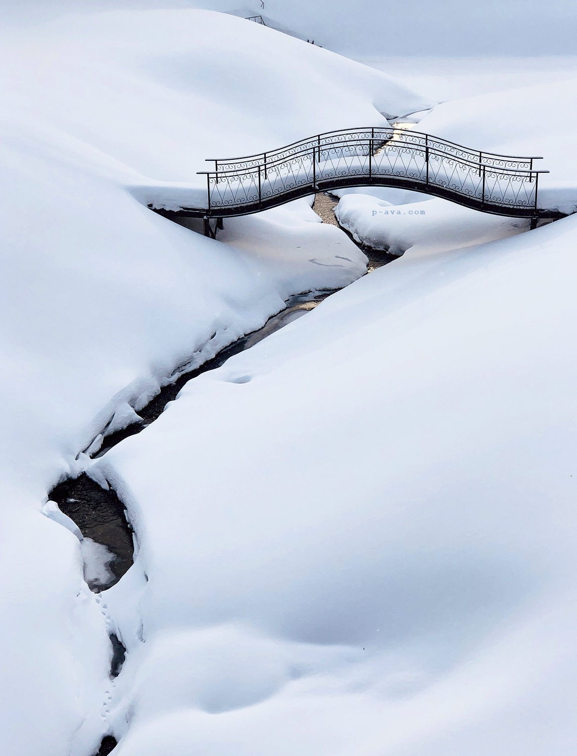 Сад зимой, Свято-Троицкая Сергиева Лавра