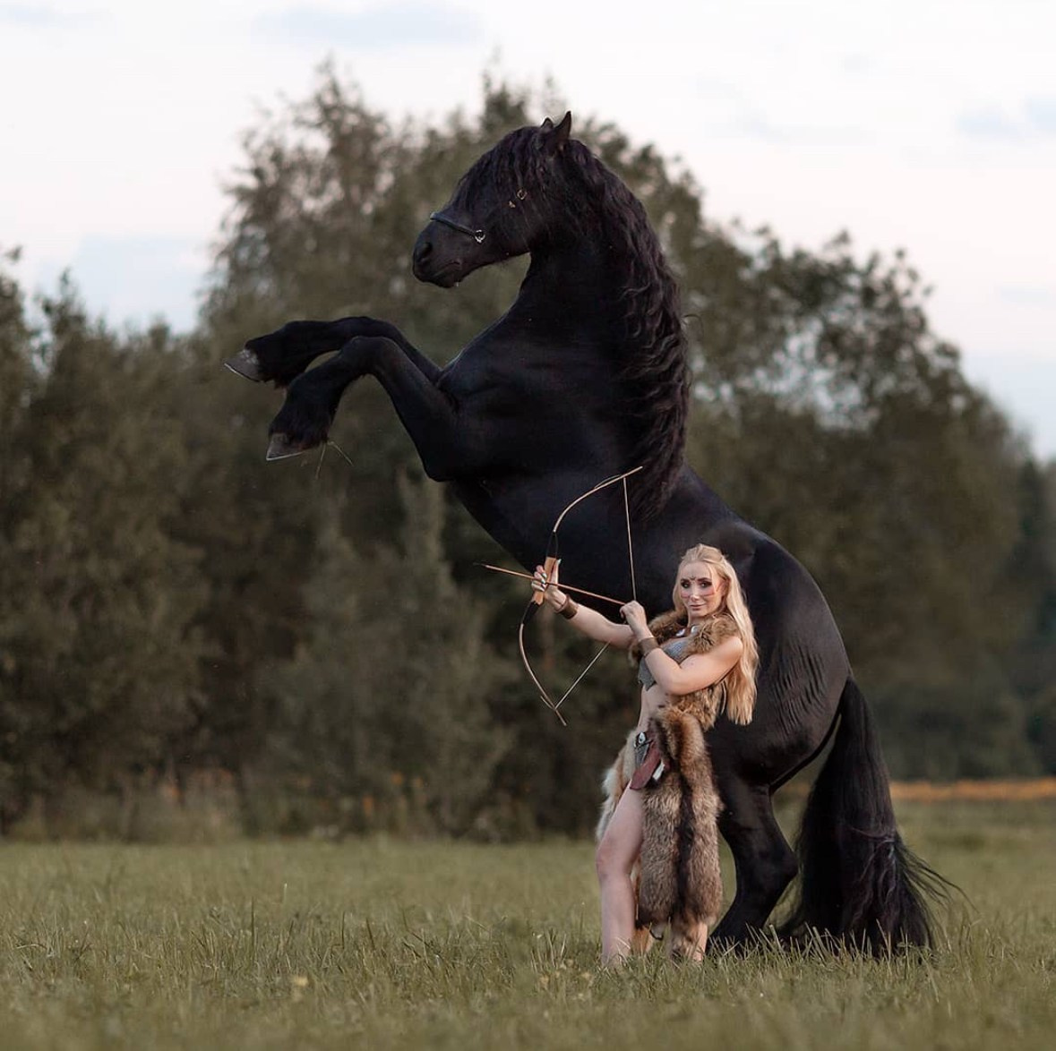 Портфолио и примеры работ с фотосессии с трюковыми лошадьми. Фотосессии с лошадьми в Москве от Конный фотографа Кутейниковой Светланы