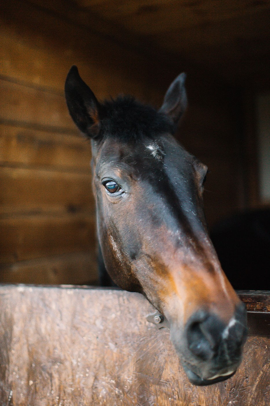 Лера и Иван