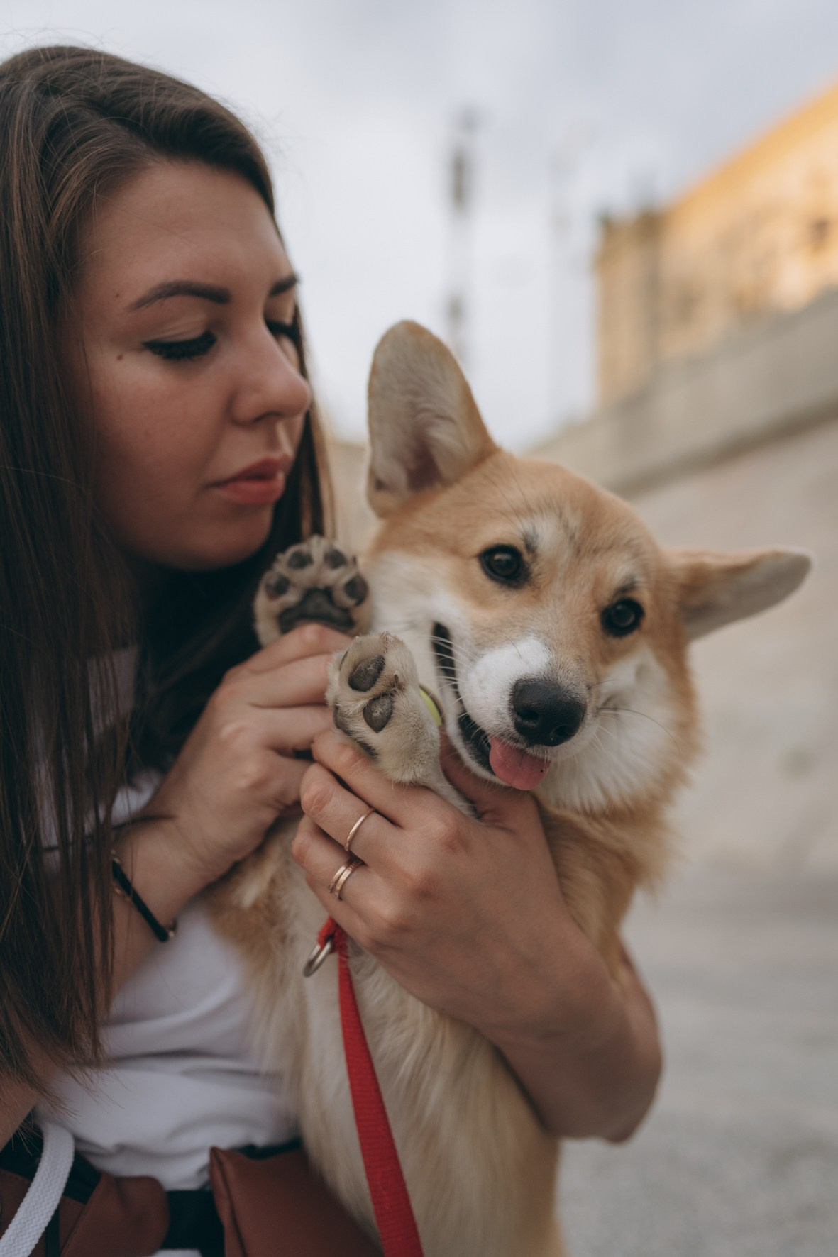Катя и Грэйси ❤️. Семейный фотограф и анималист в Москве и Московской области