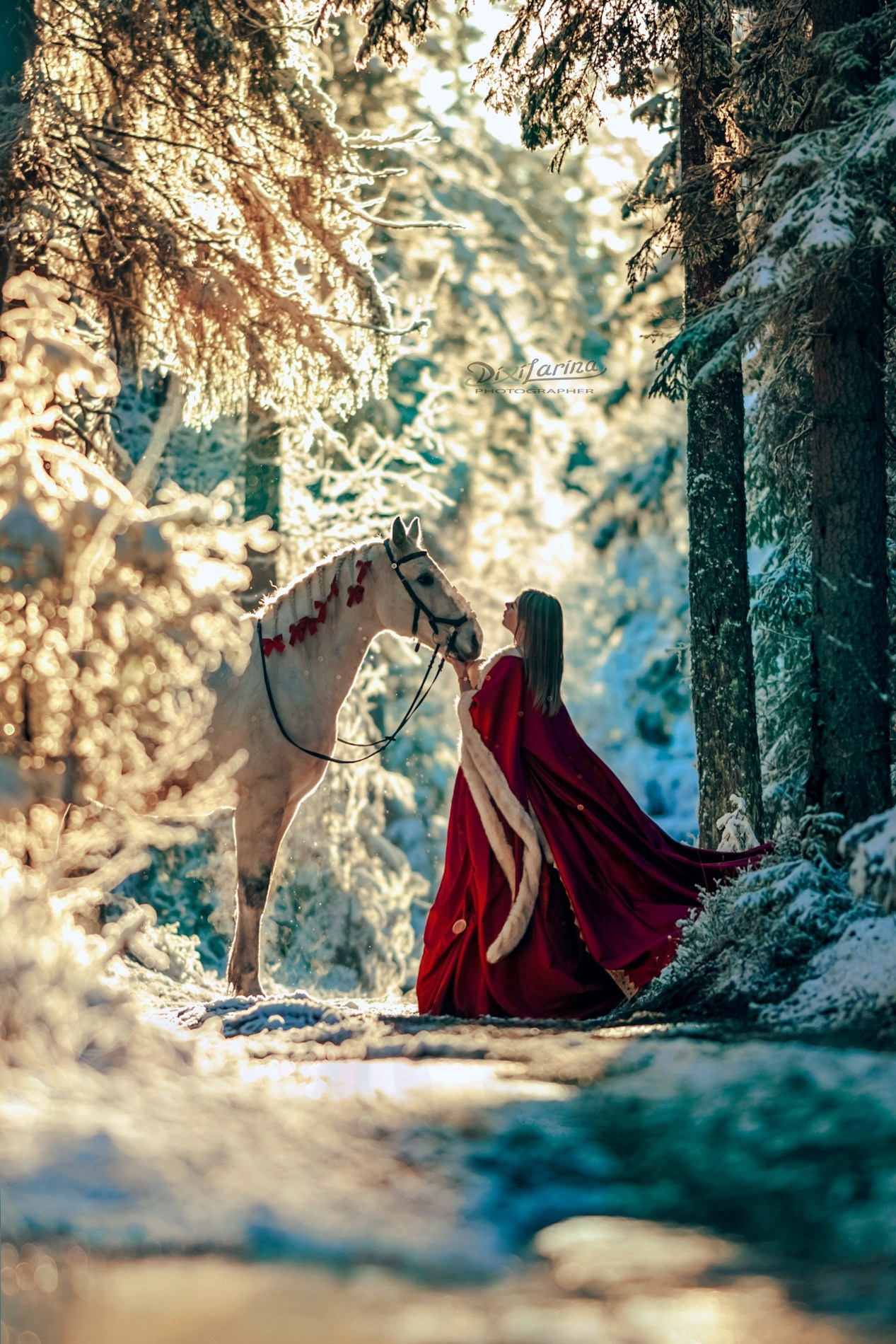 Примеры зимних образов фото Дикси Ларина. Фотограф Варвара Ермоленко