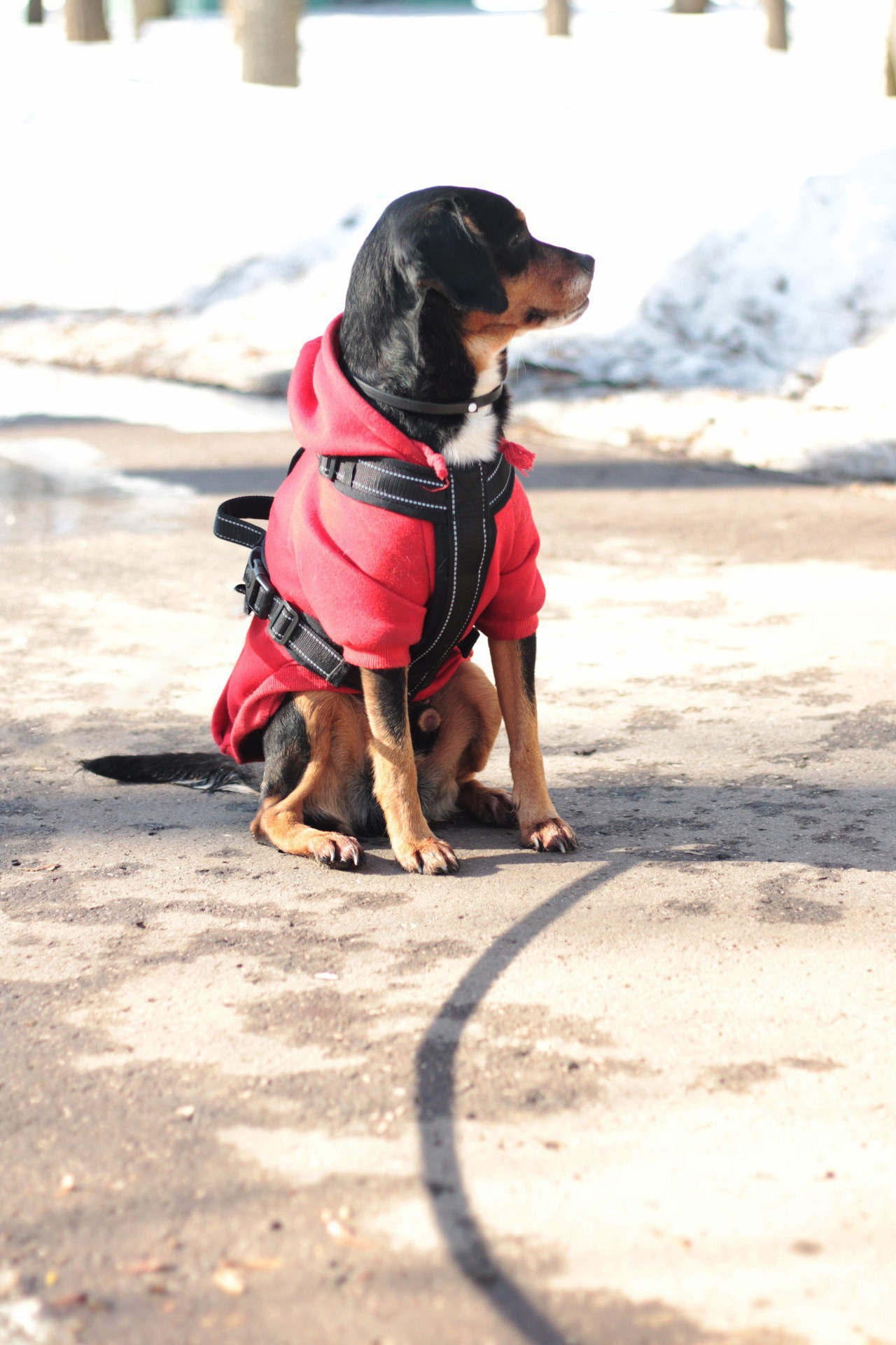 Маша и Кекс. Катя Попова|ЛайфСтайл фотограф