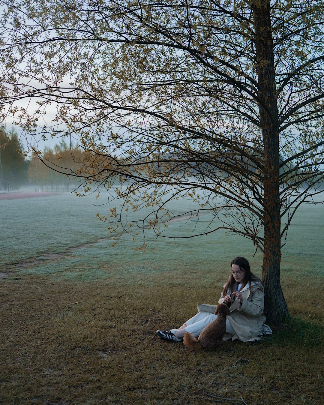 Лия и Чарли. Фотограф анималист в Москве и Санкт-Петербурге Свиридова Анна