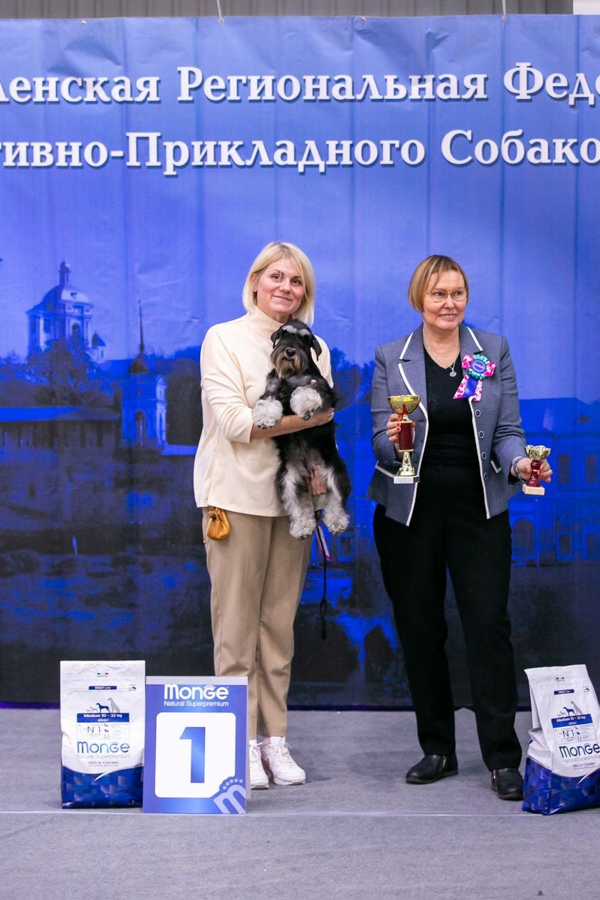 Питомник Делинсо Бэлэнс, щенки цвергшнауцера, купить щенка цвергшнауцера, питомник цвергшнауцеров, кобель цвергшнауцера для вязки, щенок цвергшнауцера, питомник цвергшнауцеров, черный с серебром, цверг, лучший питомник в беларуси