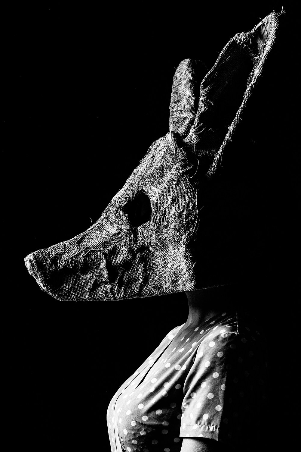 Контент. Фотограф Михаил Ряховский