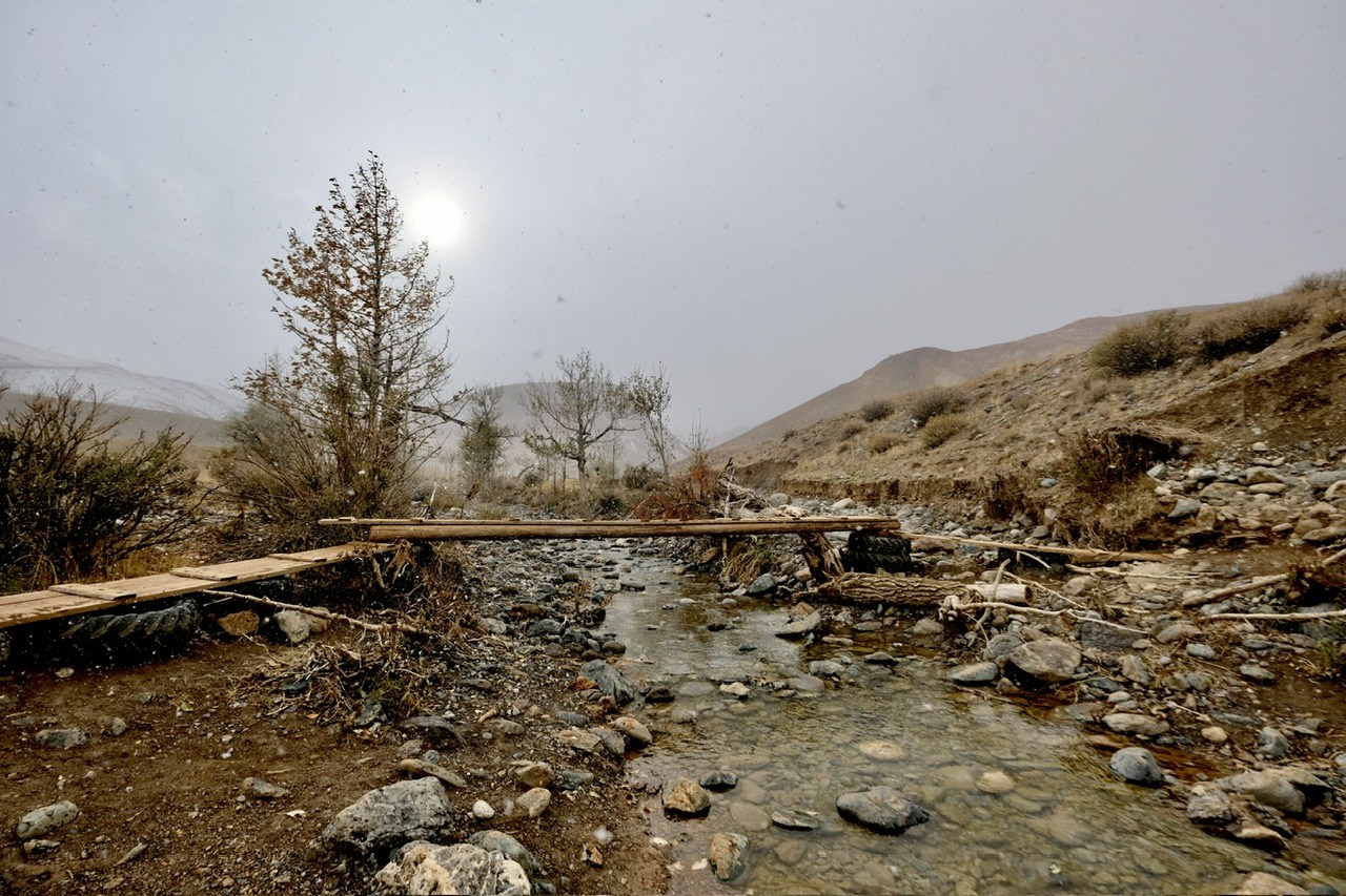 Алтай. Фотограф Евгений Андреев