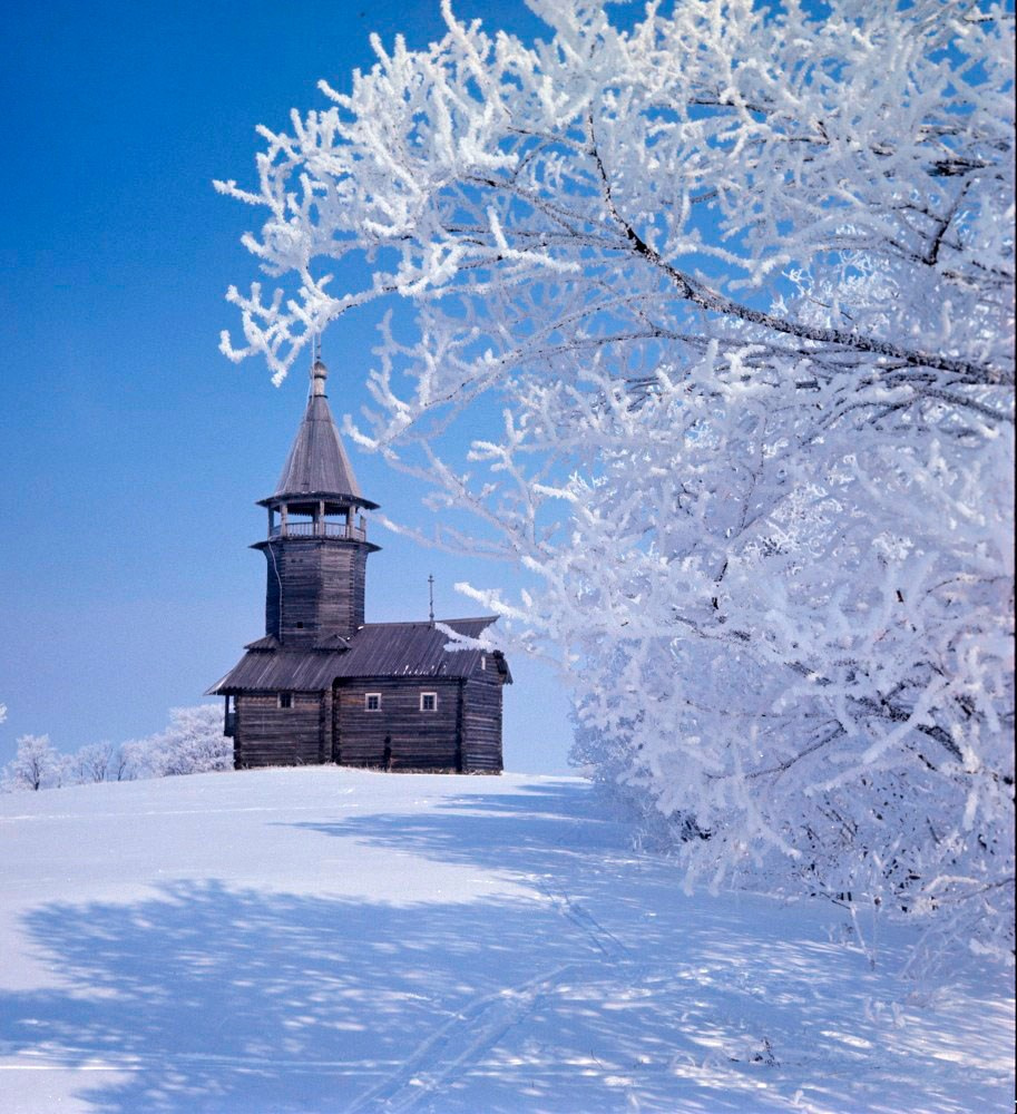 Часовня из деревни Кавгора. Музей Кижи