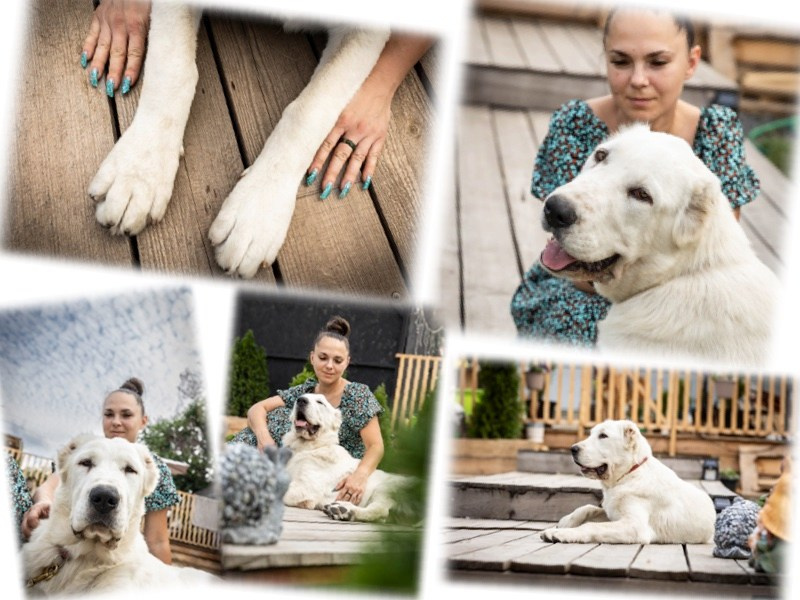 Иншала и Сирена. Фотограф-АниМалист Анна Абрамова