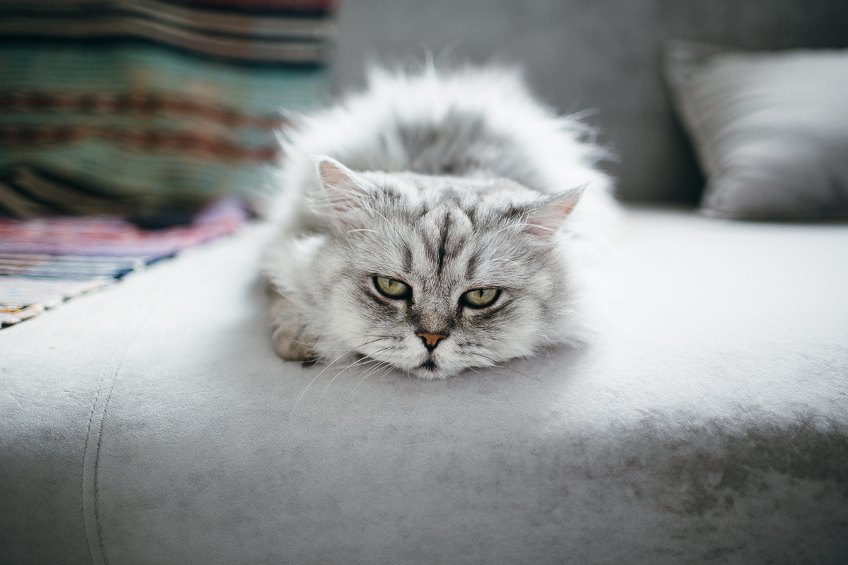 Свадьба Славы и Насти в Сыктывкаре. Фотограф Антон Бубликов Сыктывкар