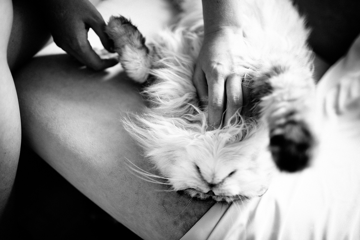 Свадьба Славы и Насти в Сыктывкаре. Фотограф Антон Бубликов Сыктывкар