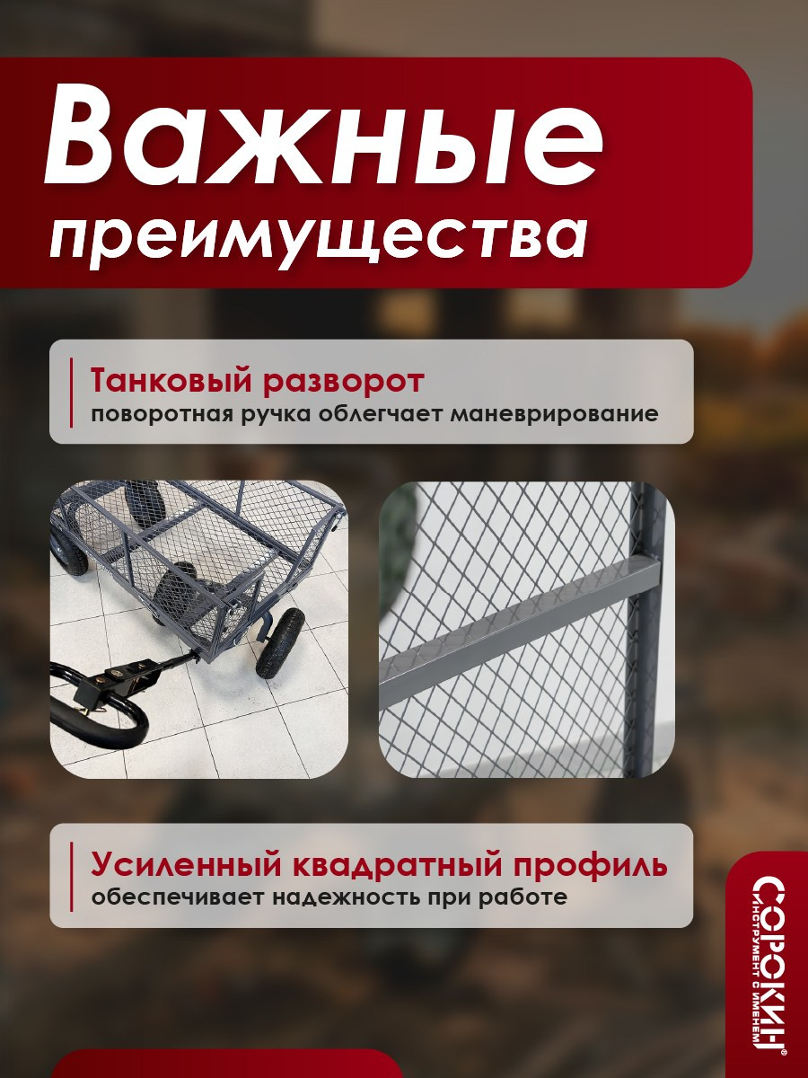 Дизайн. Фотограф, контент-креатор в Москве Анна Молодцова