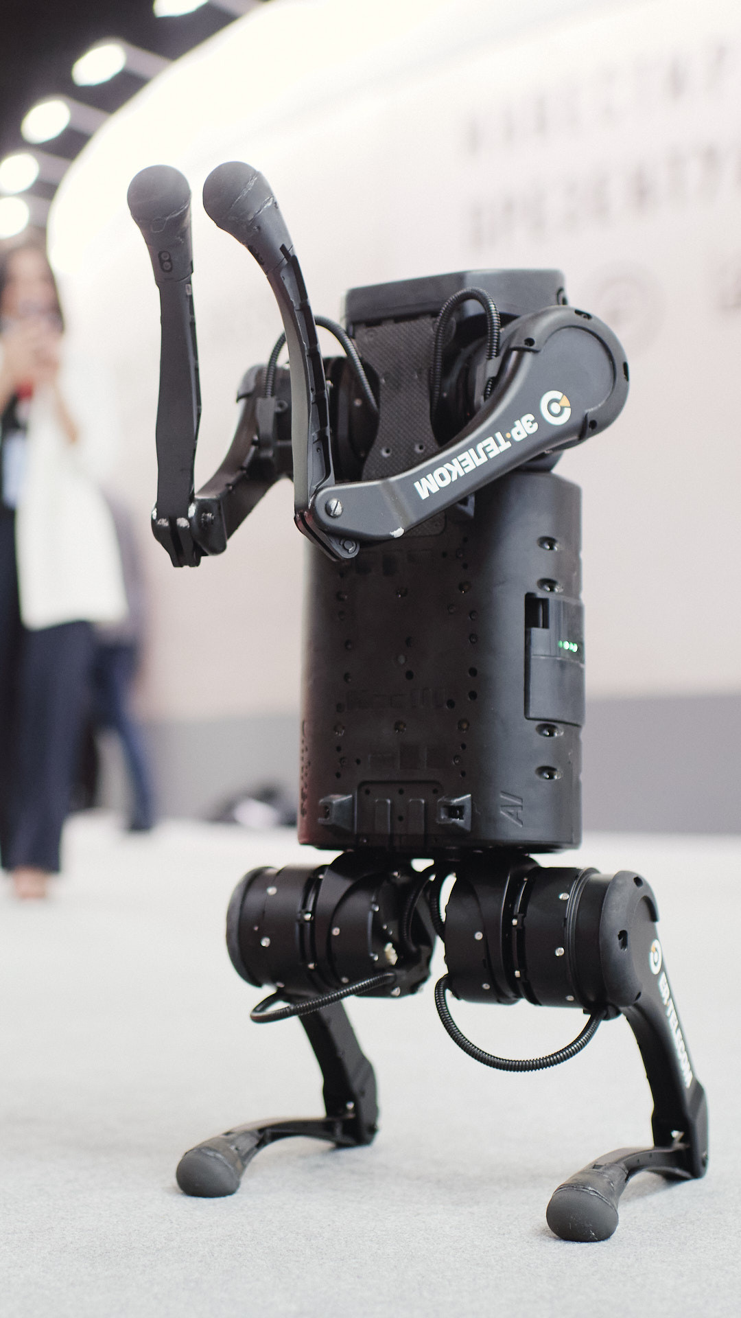 Медиа-служба. Фотограф Наиль Забайдуллин