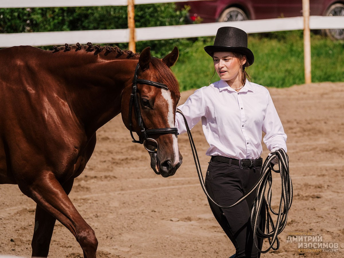 Скачки фаворитов 2024