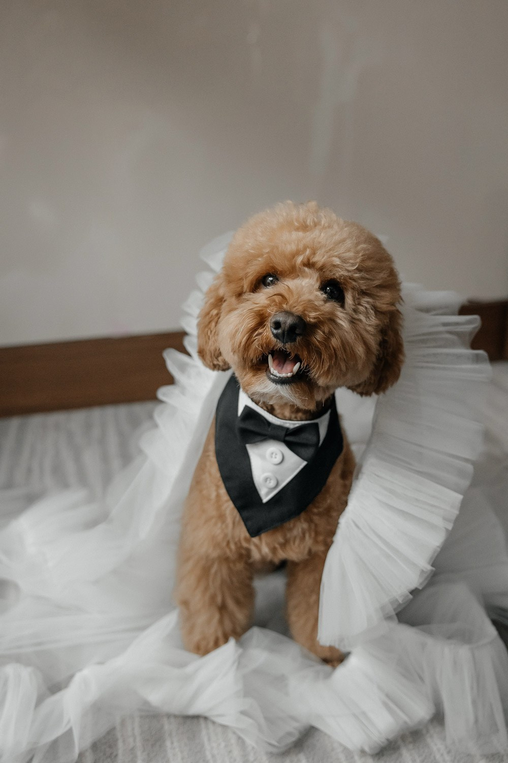 A & G. Свадебный фотограф Москва