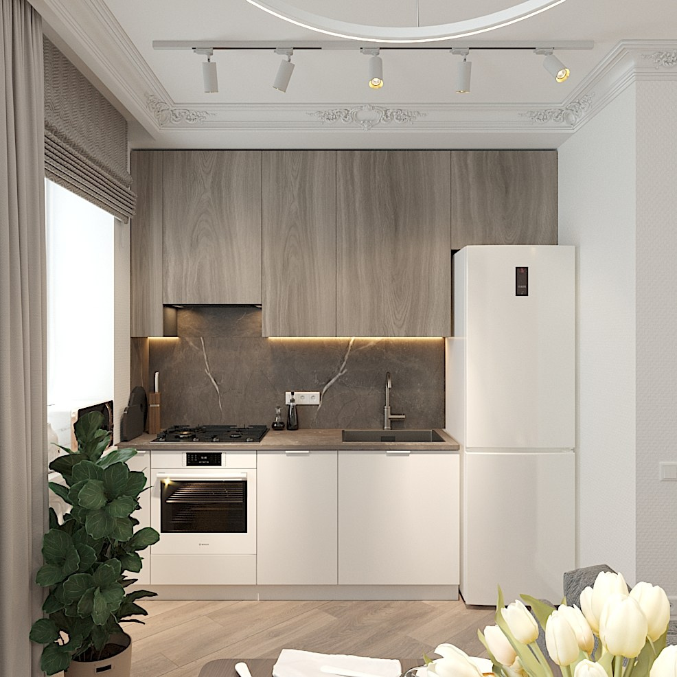 Евродвушка в историческом доме. Студия интерьерной визуализации и дизайна FishkaRom в Краснодаре и по всей России