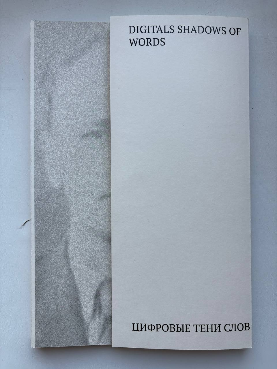 Цифровые тени слов. Нерусский негосударственный музей 2025. Художница Юлия Павлова