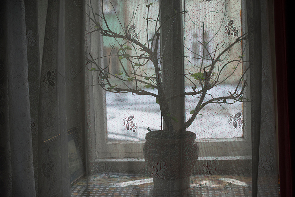 Корни. Документальный фотограф, журналистка и писательница Катя Дериглазова