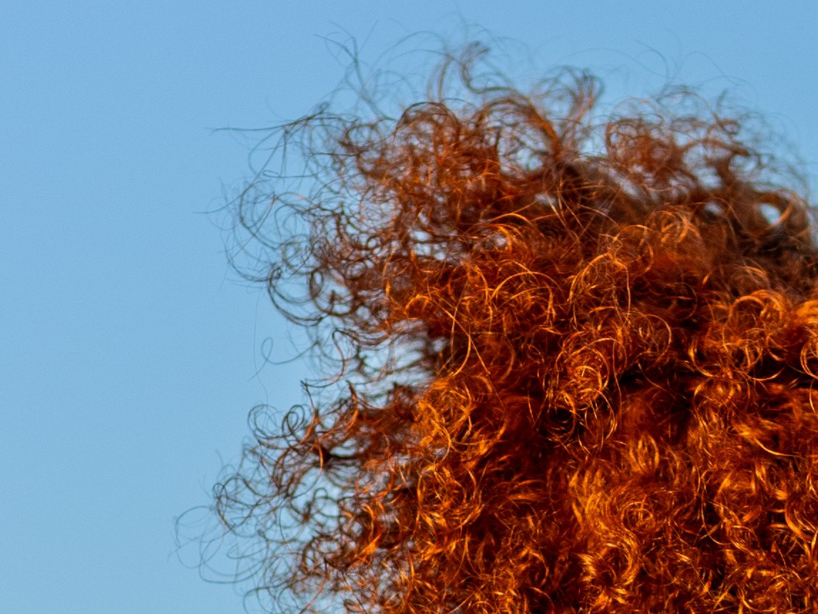 Юля. Фотограф-анималист в Москве Кириллова Татьяна