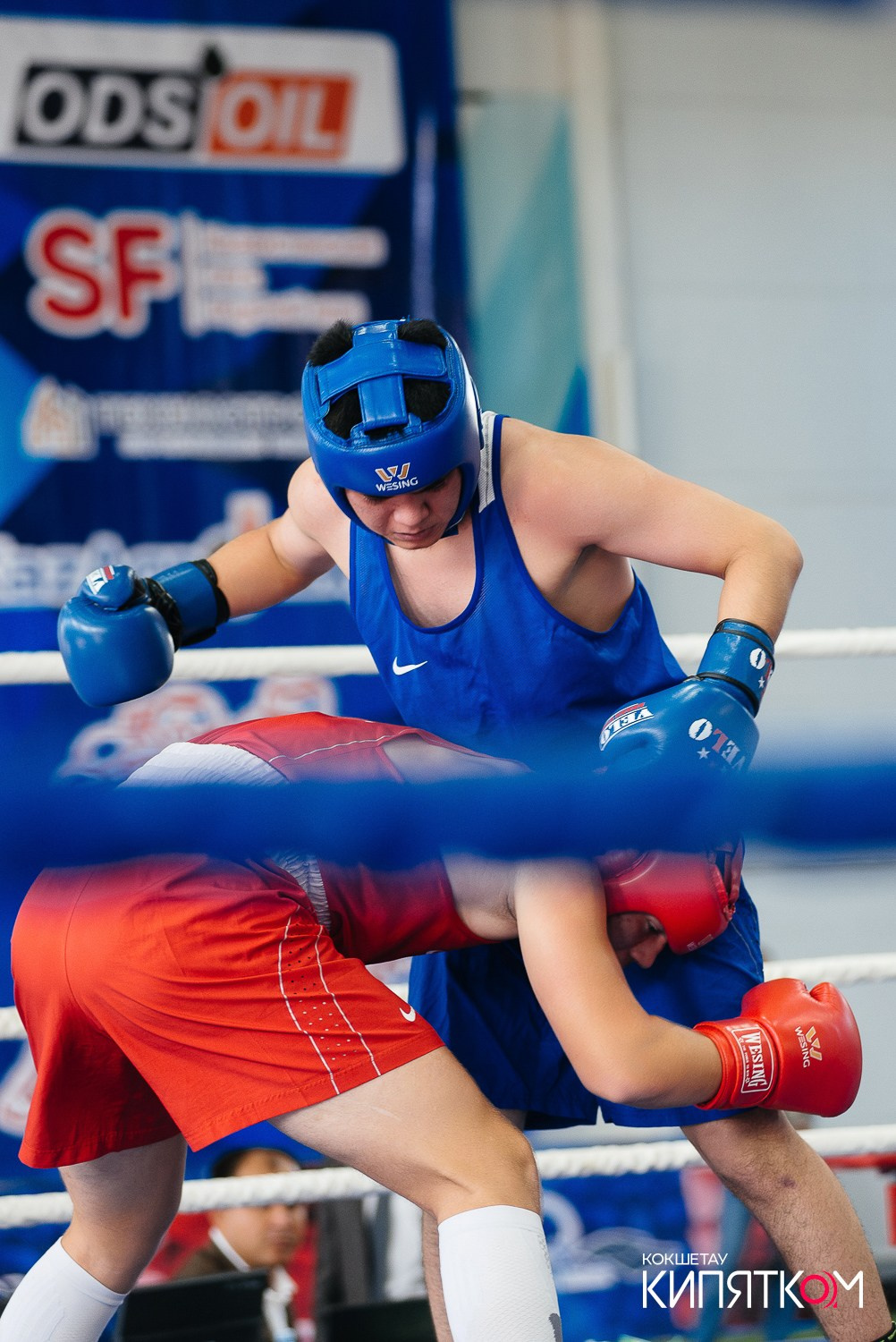 Турнир по боксу. КИПЯТКОМ КОКШЕТАУ