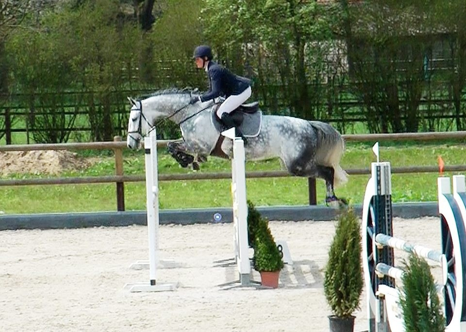 Seminar 5 July Evaluating gates in dressage. Liana Antanovich | Equestrian Strategies