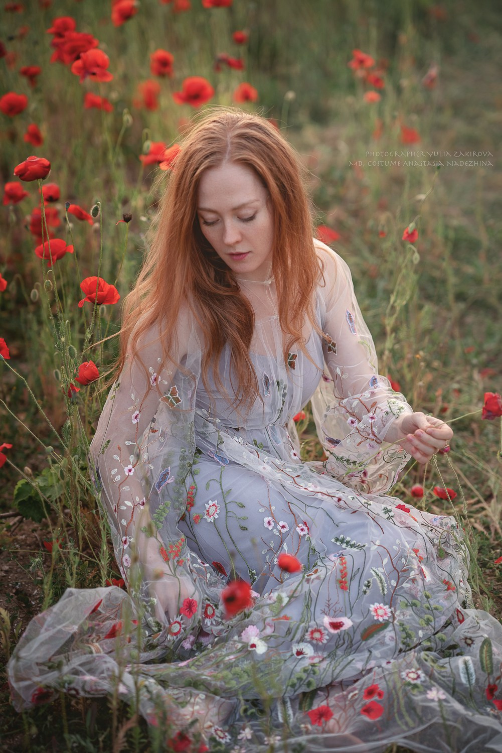 Маковое поле. Проверка