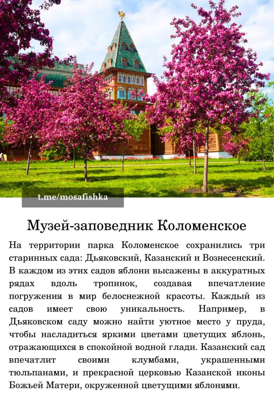 Локации для фотосессии в Москве