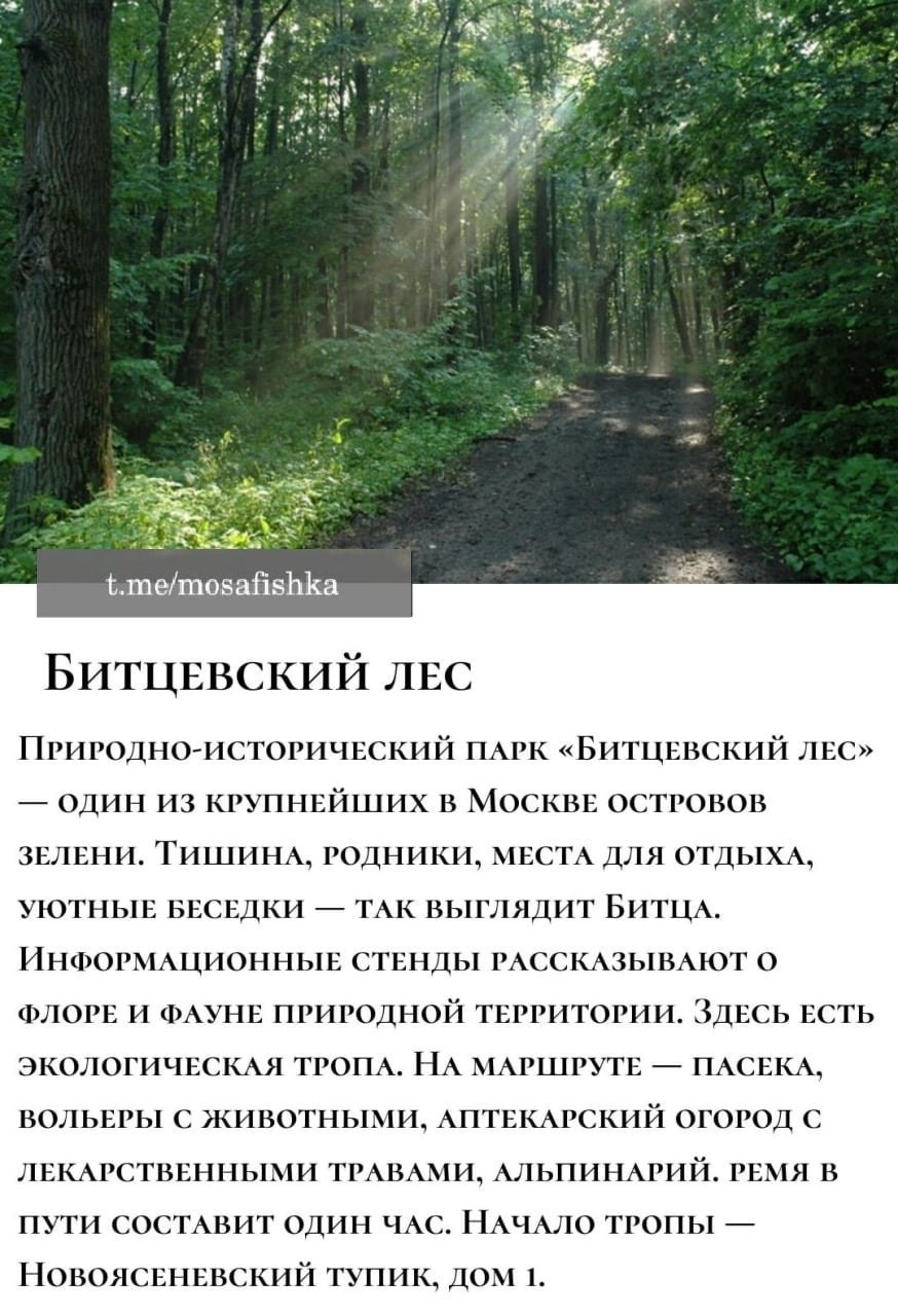 Локации для фотосессии в Москве